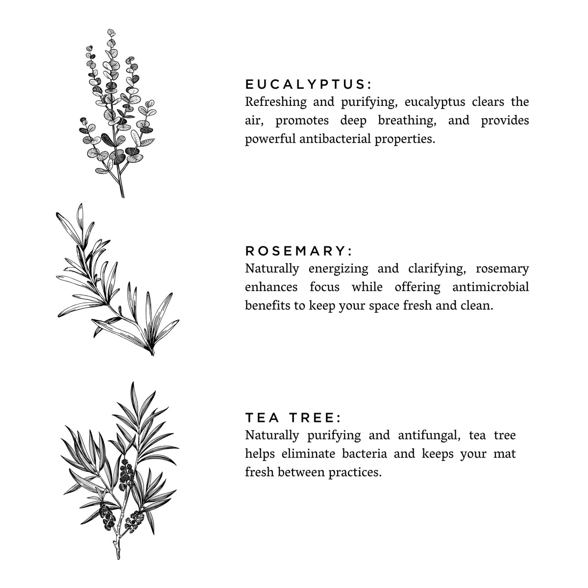 Slow North Yoga Mat Refresh Spray – Eucalyptus + Rosemary, 4 fl oz